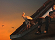 prv-makedonski-film-nominiran-za-emmy-awards-prikaznata-za-siljan-so-dve-nominacii-za-najprestizhnite-tv-nagradi-01.jpg