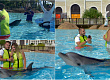 zaprosuvanje-na-devojka-od-shtip-pri-plivanje-so-delfini-vo-turcija-foto-01.jpg