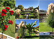 pampas-treva-banana-drvo-sovrsheno-uredenoto-dvorche-na-aneta-vo-bitolskoto-selo-kanino-foto-01.jpg