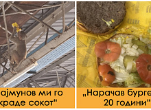 lugje-koi-na-poteshkiot-nachin-sfatile-deka-denot-ne-odi-vo-nivna-korist-foto-01.jpg