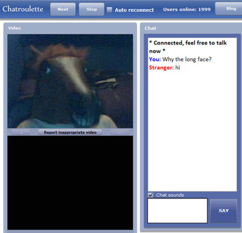 nov-internet-fenomen-chatroulette-1