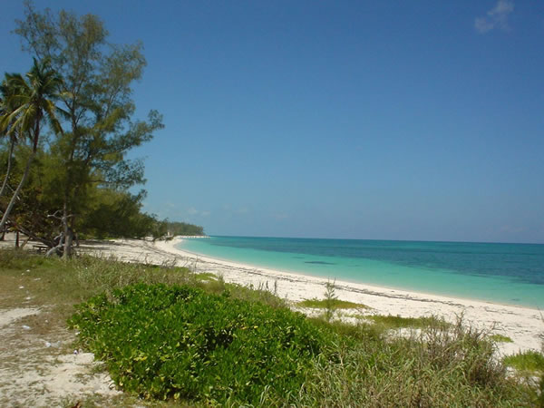 ajde-na-bahami-2