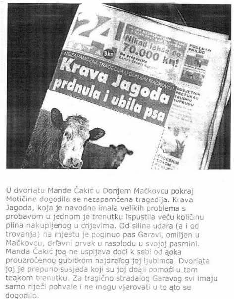 sto-napravila-kravata-jagoda