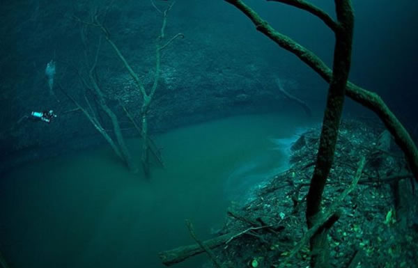podvodna-reka-vo-meksiko-3