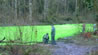 fluorescentno-zelena-reka-povekje