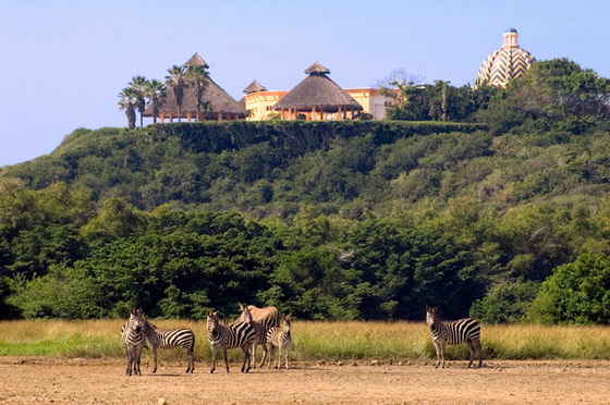 cuiximala-meksiko-rajska-ubavina-3