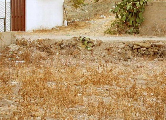 kade-e-mackata-1