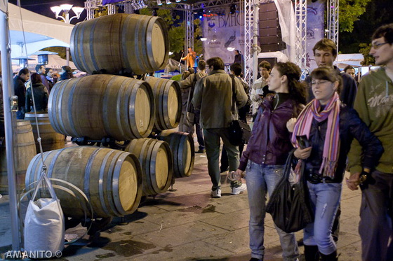 zapocnuva-slatkoto-iskusenie-vinoskop-2011-7