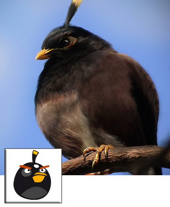 koga-angry-birds-bi-bile-vistinski-2