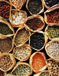 bez-ovoj-vitamin-nema-zdravi-nervi