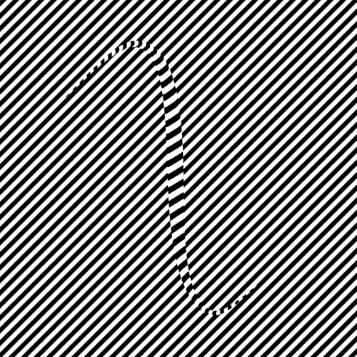 crno-beli-opticki-iluzii-7