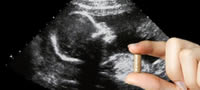 susheni-fetusi-lek-za-site-bolesti-povekje
