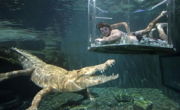 podvodno-druzenje-so-krokodili-4