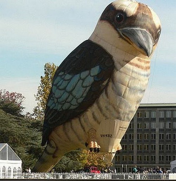 koj-e-za-letanje-so-balon-na-topol-vozduh-7