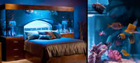 kreativno-akvarium-krevet-povekje
