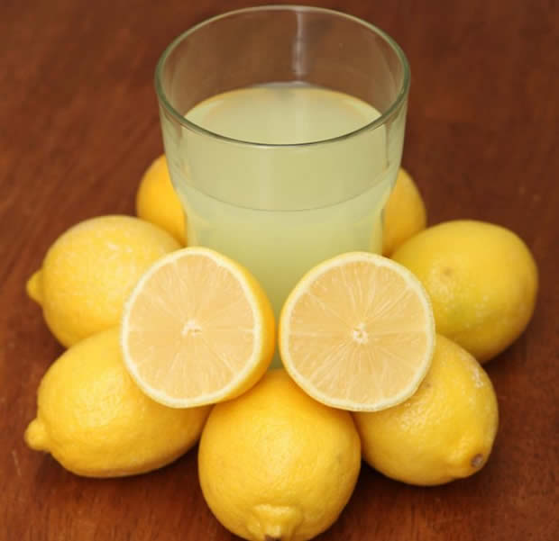 pet-zdravstveni-problemi-koi-gi-leci-limonadata