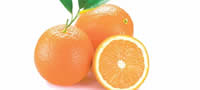 portokalot-kral-na-svezinata-povekje