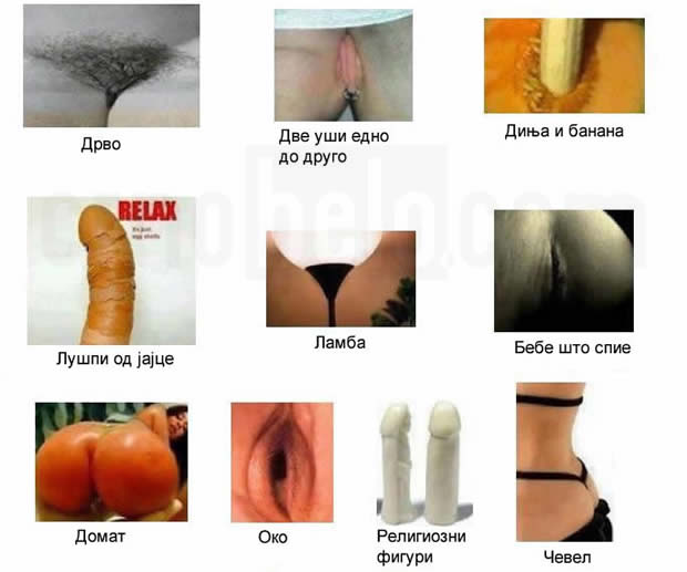shto-gledate