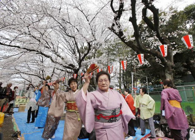 tradicija-cvetanjeto-na-cresite-vo-japonija-foto-10