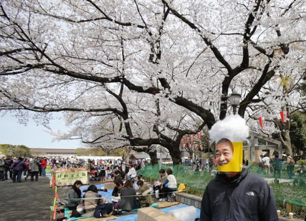 tradicija-cvetanjeto-na-cresite-vo-japonija-foto-9