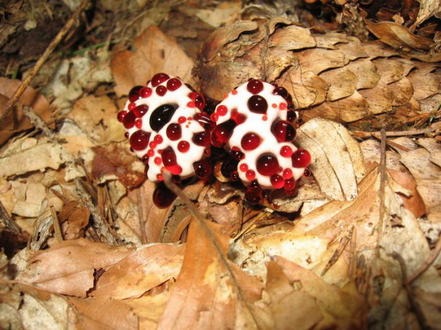 zagatka-na-denot-sto-e-ova-9