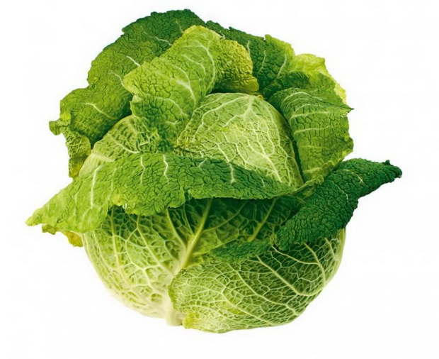 zdravi-dodatoci-vo-ishranata-2