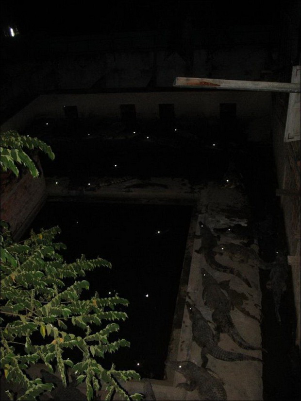 hotel-vo-kambodza-so-unikaten-pogled-04