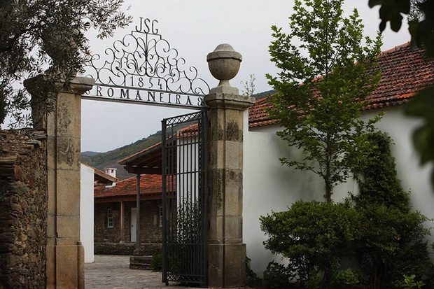 udobna-vila-pomegu-portugalski-lozja-09