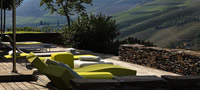 udobna-vila-pomegu-portugalski-lozja-povekje