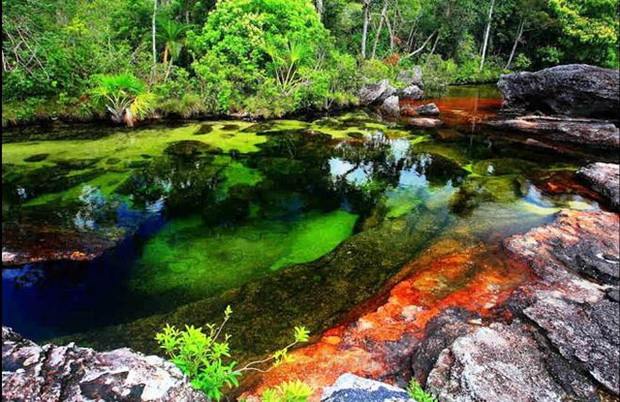 cano-cristales-kolumbiskoto-tecno-vinozito-2