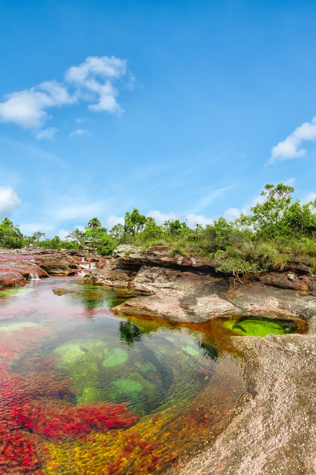 cano-cristales-kolumbiskoto-tecno-vinozito-4