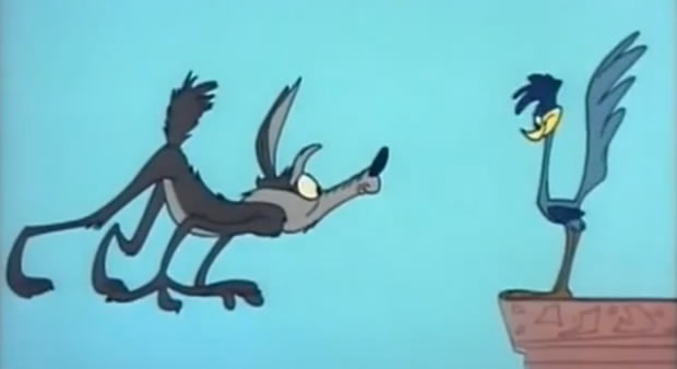kojotot-ili-brzata-ptica-itrica