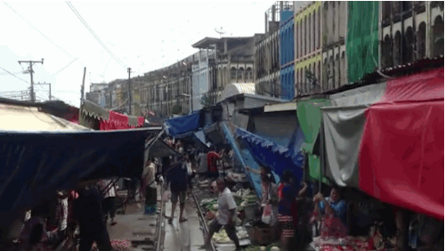 vaka-izgleda-eden-sosema-obicen-market-vo-tajland-foto-13