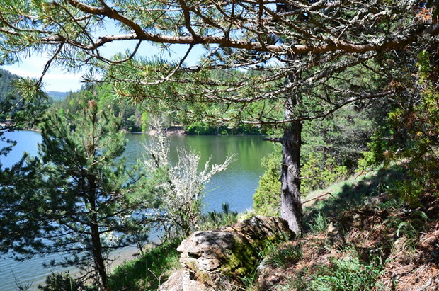 vikend-predlog-berovo-01