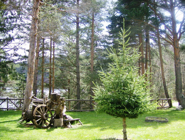 vikend-predlog-berovo-02