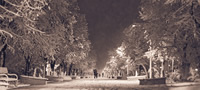 najubavite-fotki-od-prvata-snezna-nokj-vo-skopje-povekje