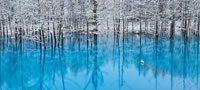 vestackoto-ezero-koe-ja-menuva-bojata-od-kristalno-sina-do-smaragdno-zelena-povekje