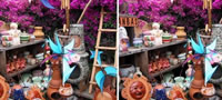 kolku-razliki-ke-pronajdete-foto-povekje