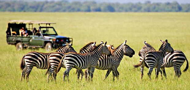 5-najdobri-safari-destinacii-vo-afrika-4