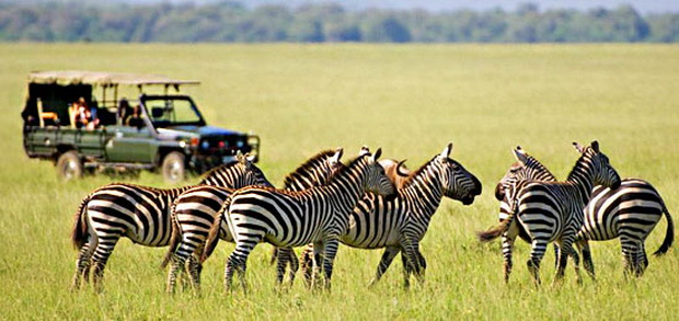 5-najdobri-safari-destinacii-vo-afrika-4