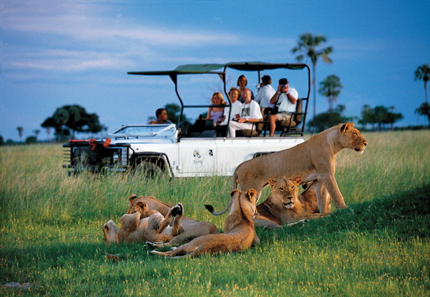5-najdobri-safari-destinacii-vo-afrika-5
