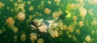 nova-avantura-plivanje-so-iljadnici-meduzi-video-povekje