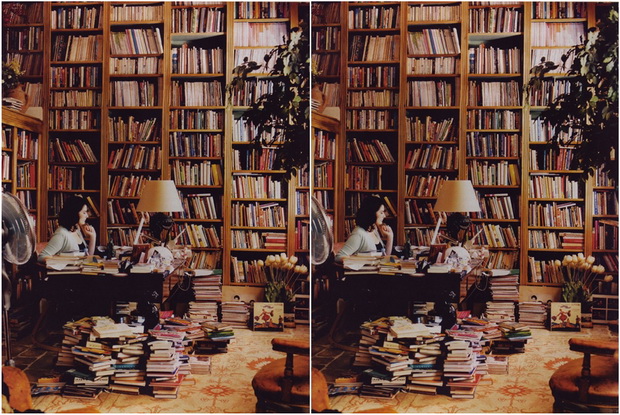 ve-vodime-na-prosetka-niz-najubavite-biblioteki-vo-svetot-02