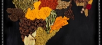 thumb geografski-mapi-od-omilenata-hrana-vo-zemjite-01