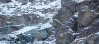 dali-ste-i-vie-vo-1-od-lugjeto-koi-ke-go-vidat-snezniot-leopard-01-povekje