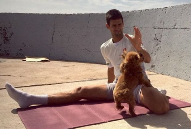 novak-i-jelena-vezbaat-joga-so-kucinjata-vo-monte-karlo-01