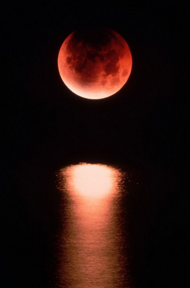 naskoro-krvava-mesecina-astronomska-atrakcija-ili-kraj-na-svetot-01