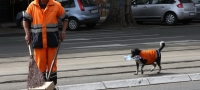 zapoznajte-go-roki-edinstvenoto-kutre-koe-raboti-vo-komunalna-higiena-01-povekje