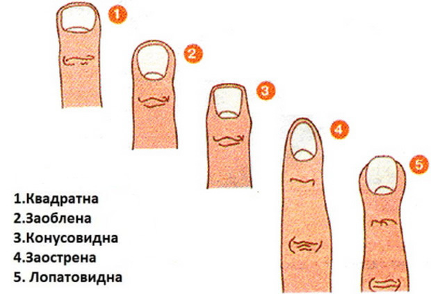 test-na-licnosta-spored-oblikot-na-prstite-01.jpg