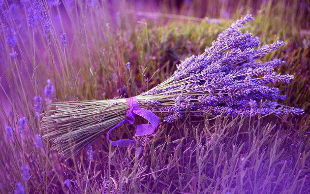 lavanda-vanila-jasmin-mirisi-za-sreka-ubavina-i-zdravje-01.jpg